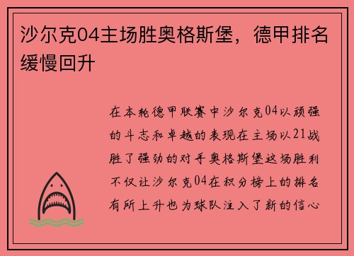 沙尔克04主场胜奥格斯堡，德甲排名缓慢回升